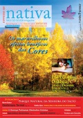 Nativa Vale do Sousa Magazine Novembro 2010